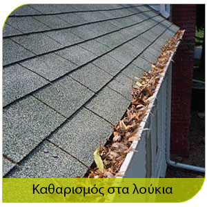 προστασία απο τα κουνούπια με΄σα απο τον καθαρισμό στα λούκια 